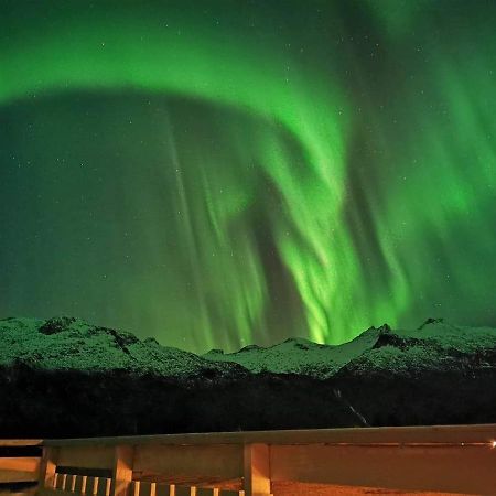 Unique And Charming House At The Foot Of Lofoten'S Highest Mountain Svolvaer Exterior photo