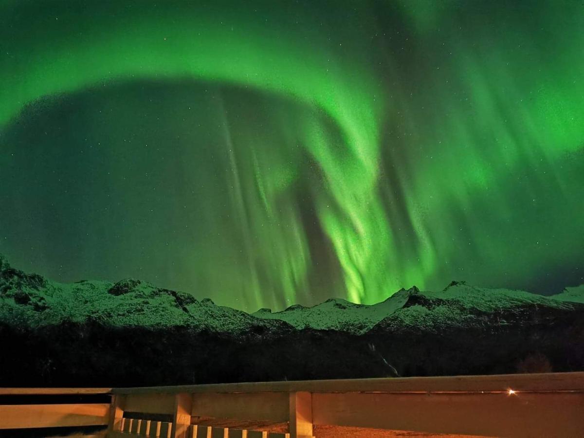 Unique And Charming House At The Foot Of Lofoten'S Highest Mountain Svolvaer Exterior photo