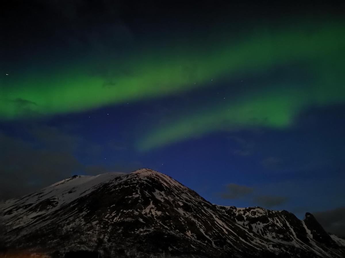 Unique And Charming House At The Foot Of Lofoten'S Highest Mountain Svolvaer Exterior photo